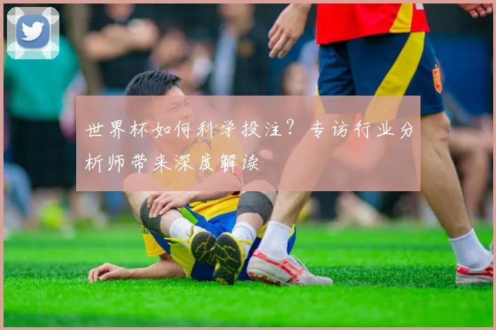 世界杯如何科学投注？专访行业分析师带来深度解读