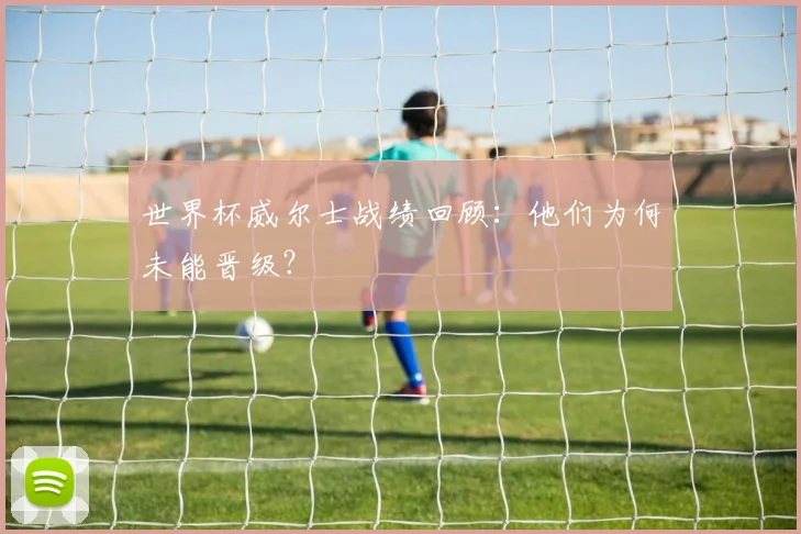 世界杯威尔士战绩回顾：他们为何未能晋级？