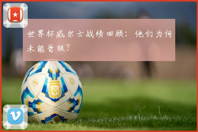 世界杯威尔士战绩回顾：他们为何未能晋级？