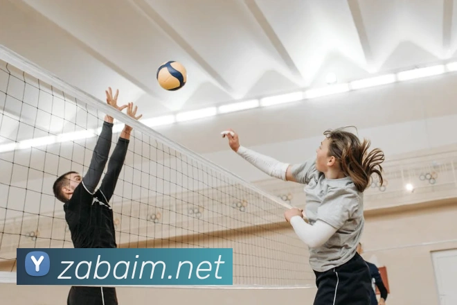 leyu乐鱼在线官网APP 封面图